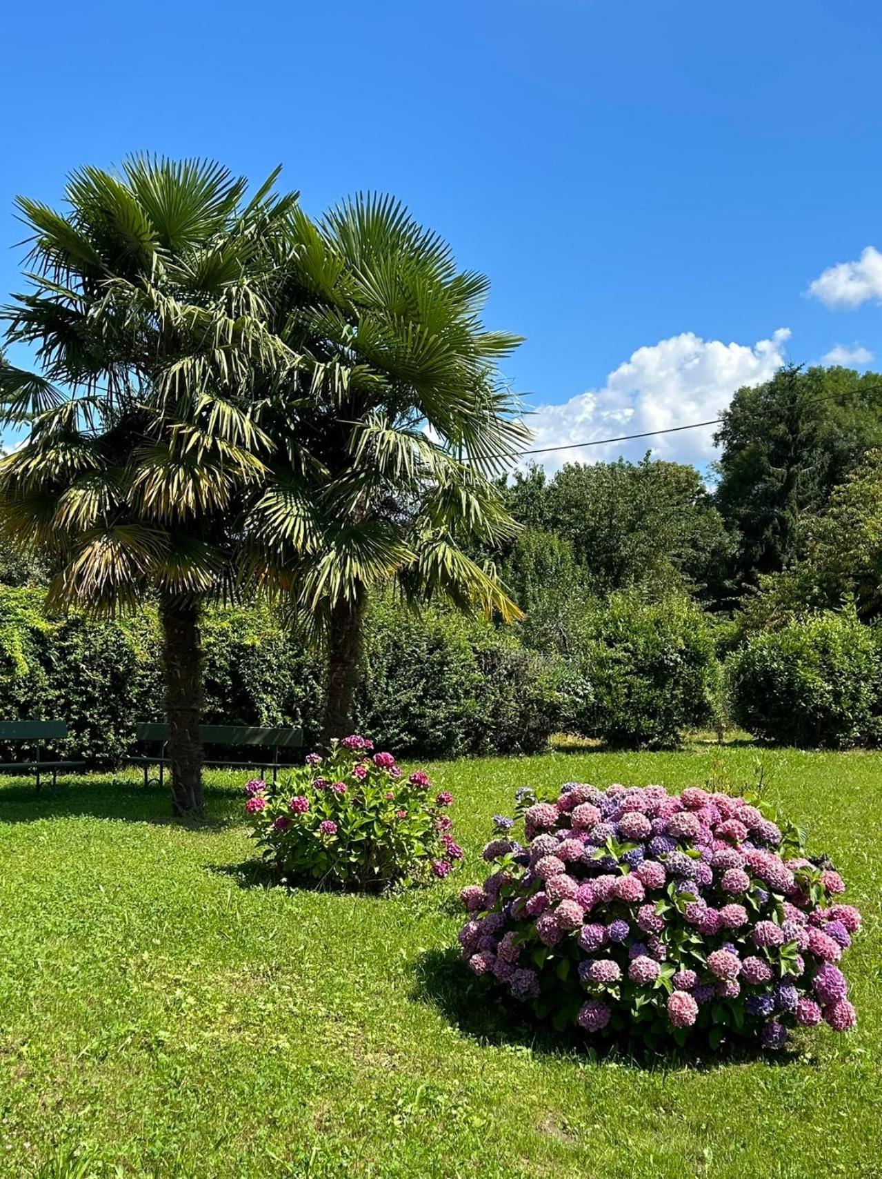 Villa Agnona Camere Borgosesia Exteriör bild